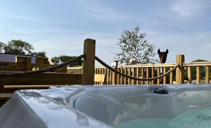 Redberth Gardens